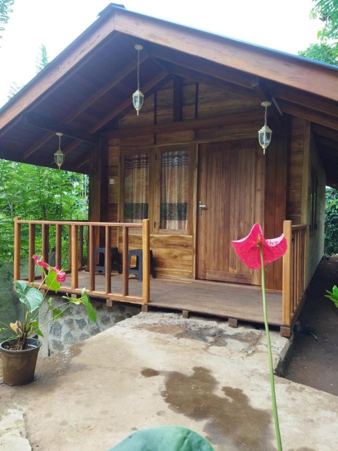 Hotel Diyaluma View Cotage Koslanda Esterno foto